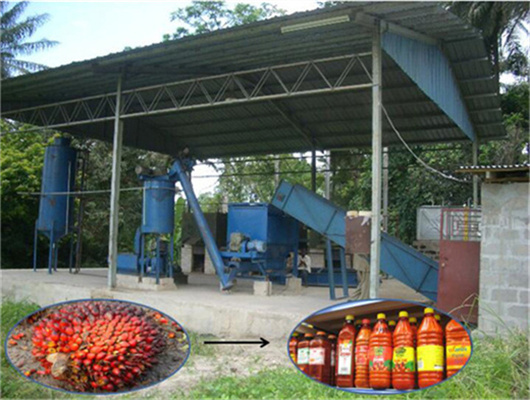 maquinas para moler aceite de palmiste en costa rica