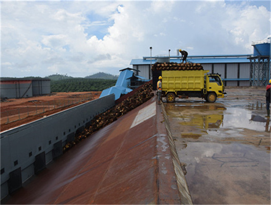 Máquina procesadora de aceite de palma más vendida en Mozambique