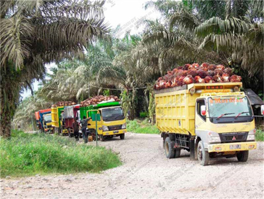 maquina de produccion de aceite de girasol en holanda en venezuela